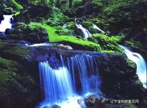 哆啦A梦2奇迹之岛